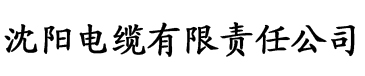 亚洲欧美另类专区第一页电缆厂logo